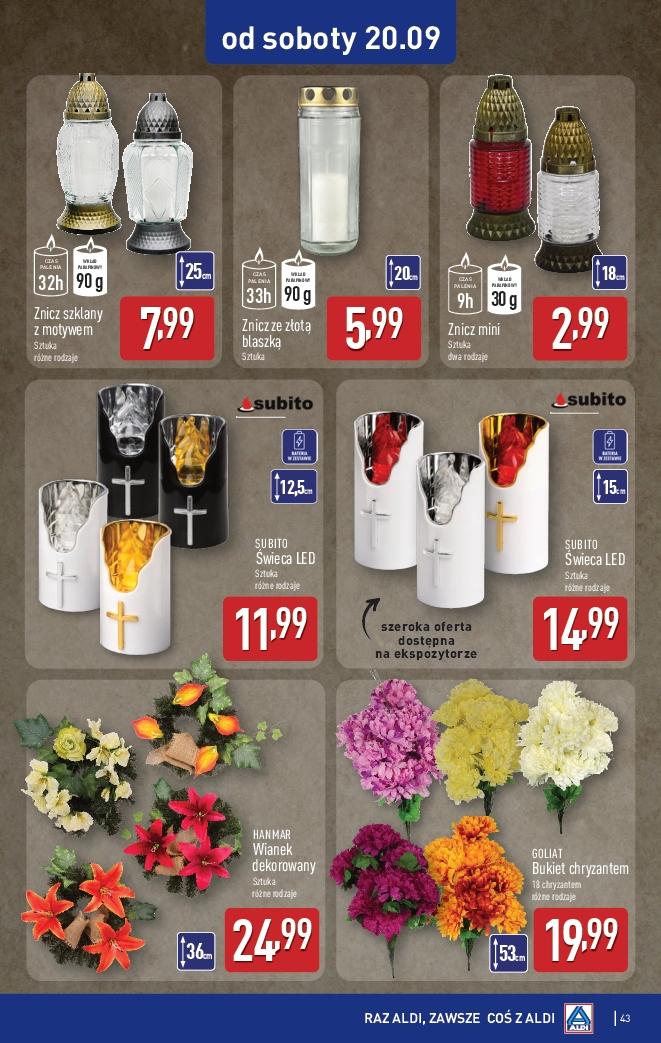 Gazetka promocyjna ALDI str. 43