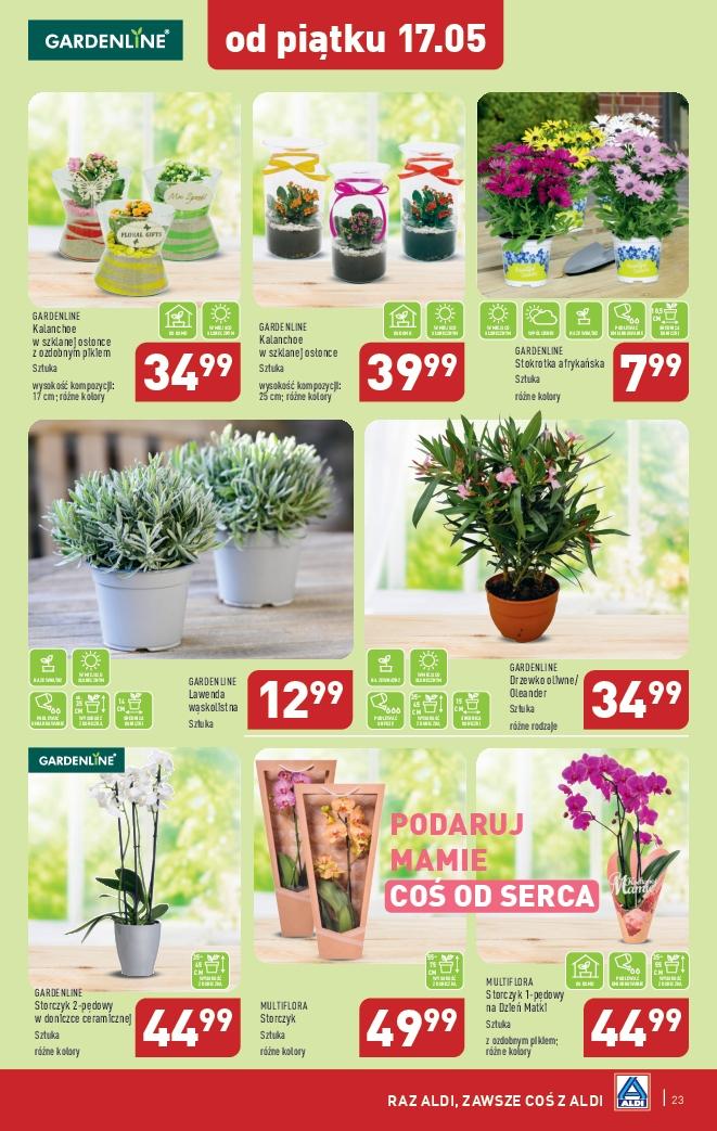 Gazetka promocyjna ALDI str. 23