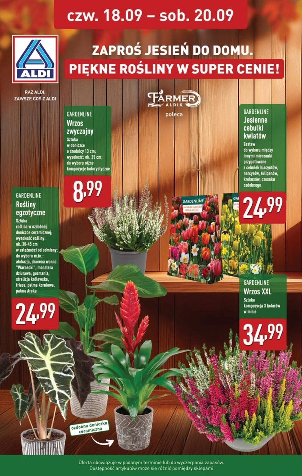 Gazetka promocyjna ALDI str. 11
