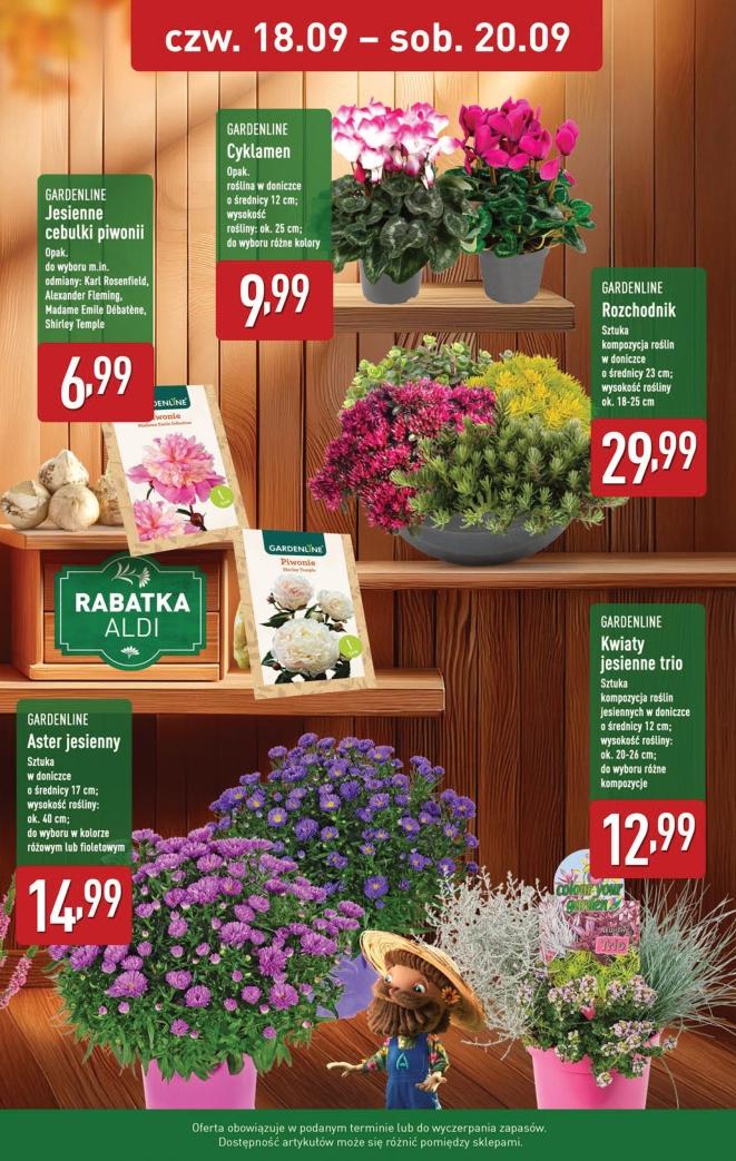Gazetka promocyjna ALDI str. 35