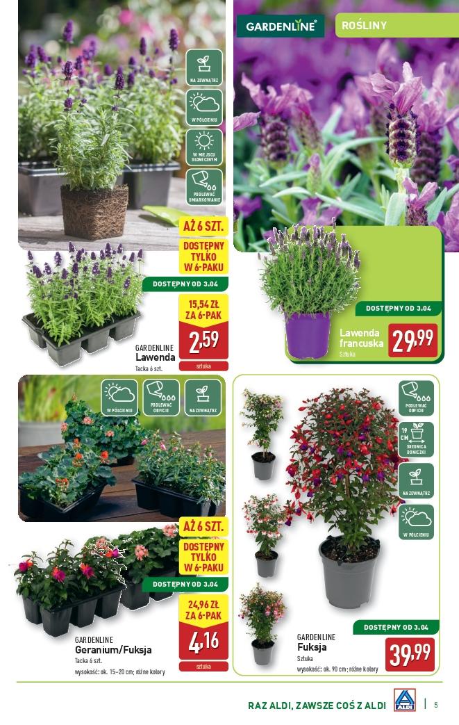 Gazetka promocyjna ALDI str. 5