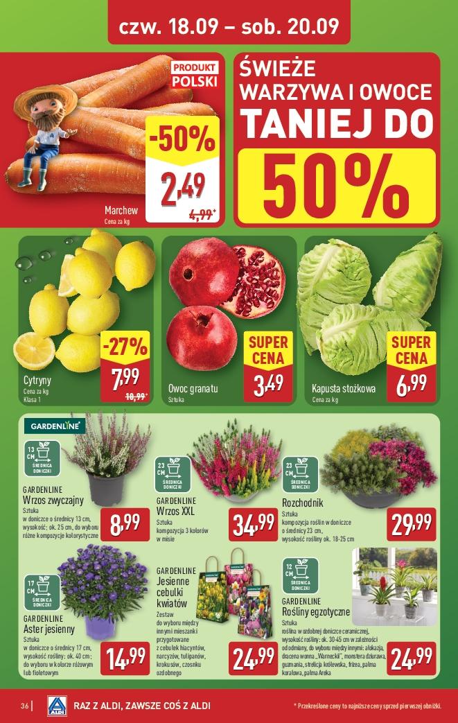 Gazetka promocyjna ALDI str. 36