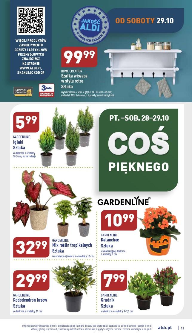 Gazetka promocyjna ALDI str. 13